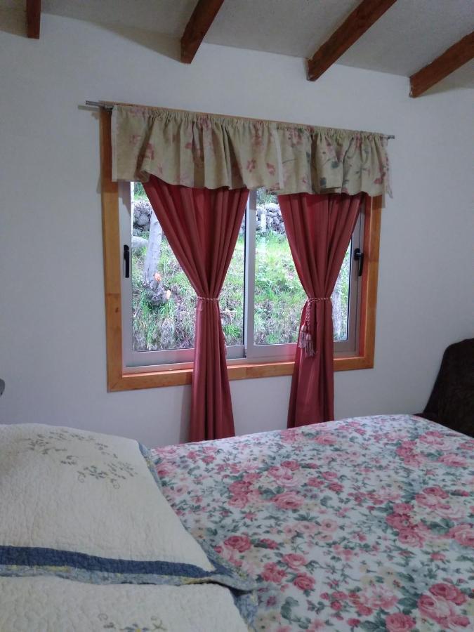 ヴィヤリカ Flor/Victoria Bed & Breakfast エクステリア 写真